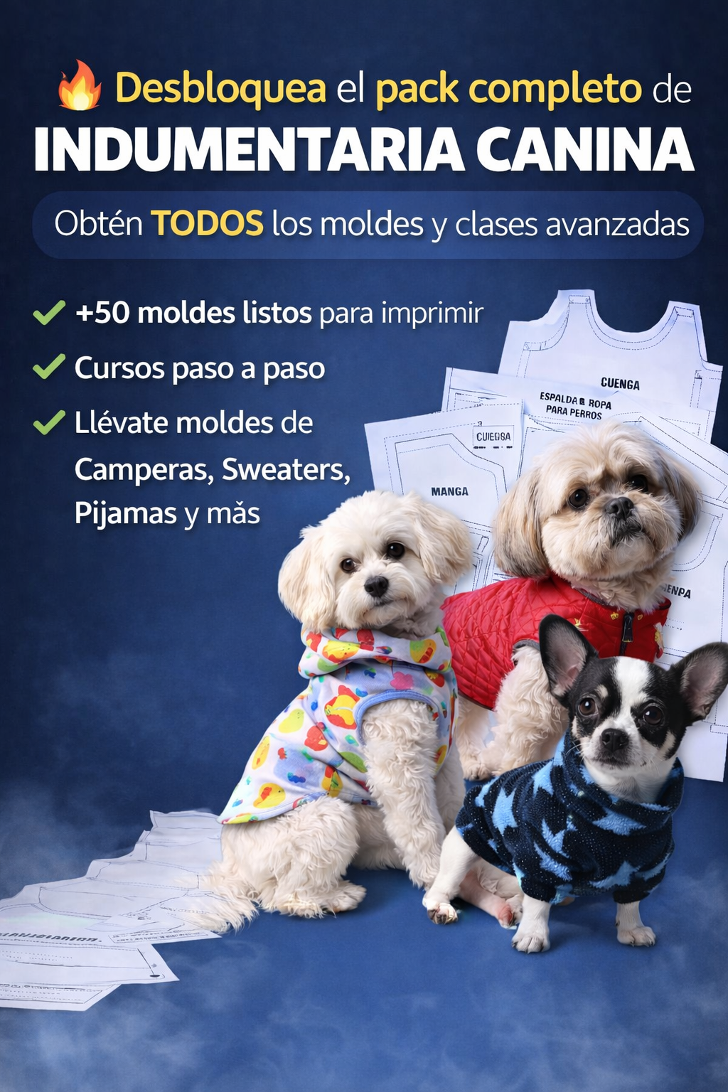 Indumentaria para mascotas desde cero